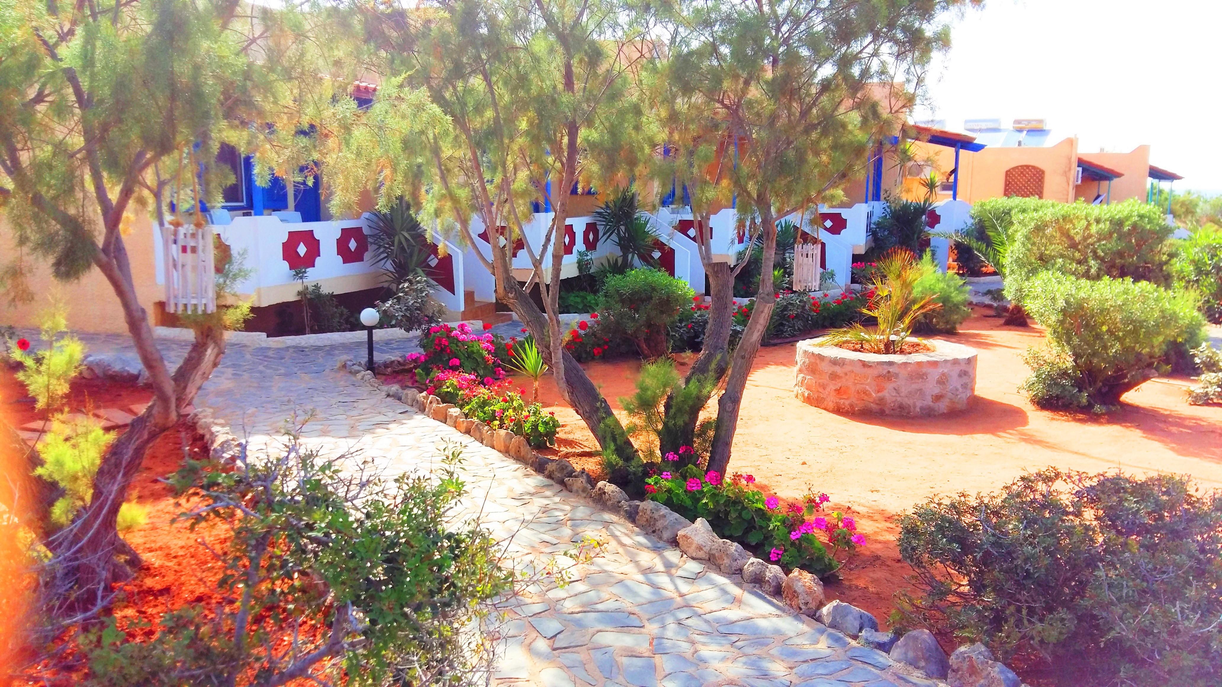 Zorbas Beach Village Hotel Stavrós Exteriör bild